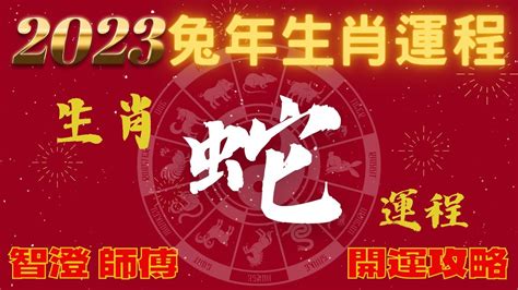 屬虎2023下半年運勢|2023年12生肖運勢詳解：癸卯年誰能順風順水大富。